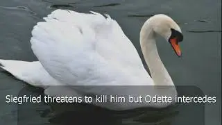 Reg Keating - Swan Lake