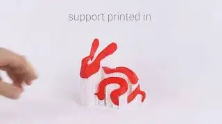PolySupport Video