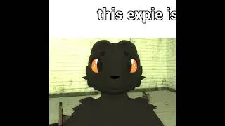 this expie is