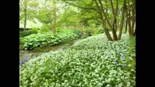 ANOTHER VISIT TO DUNSTER  IN SPRINGTIME