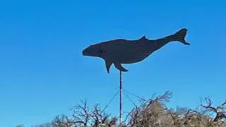 Granny’s Gap Year  - A breath of fresh Eyre, Ceduna to Wilmington, February 2024