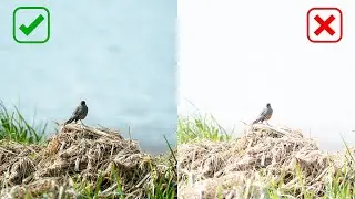 APERTURE made EASY - Everything you need to know!