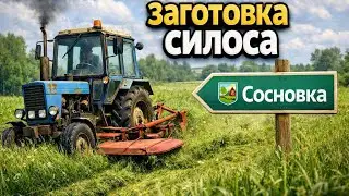 Заготовка силоса/Farmin Simulator 22/Сосновка #4