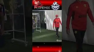 FLAMENGO entrando em campo. #flamengo #futebol #shorts #Maracanã