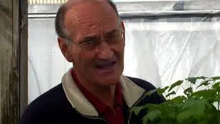 From Planting to Harvest: NZBC plant breeding program