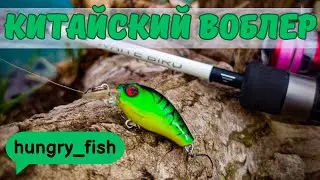 ПОЙМАЛ ГОЛАВЛЯ !!! #fishing #fish #рыбалка #голавль #hungry_fish #youtube #gopro #chubby