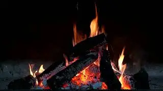 Firewood Burning Outside | Stock footage | Copyright Free Background l