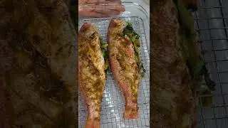 Grilled fish in the oven! #grillingseason #ovengrilled #pescaterian #lowcarb #healthyeating