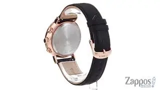 Timex Fairfield Chrono SKU: 9119021