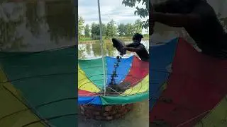 Big water fountain ⛲️ using umbrella #shorts #ytshorts #waterfountain #cementcraft #deepscraft #DIY