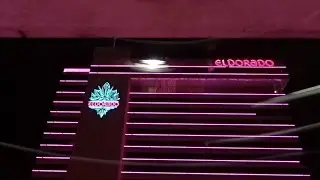 Amazing Glass Schindler Elevators - Eldorado Garage - Reno, Nevada