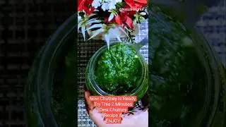 Chutney recipe -1😋 #desirecipe #2minutesrecipe  #dillleaves #dhaniyachutney @NatuliHeights #short