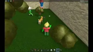 Doge reacts very oddly to NPCs