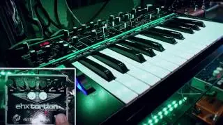 GeoSynths Ep7 - EHX Tortion JFET Overdrive on Synthesizers