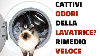 CATTIVI ODORI DELLA LAVATRICE?  RIMEDIO SEMPLICE  E VELOCE