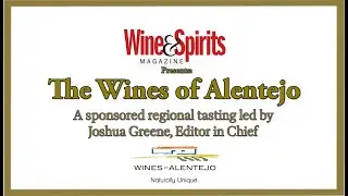 Tasting the Wines of Alentejo