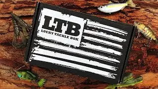 Our BassXL Box!