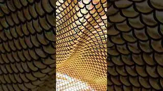 Iridescent Gold Mermaid Tail fabric, stretch fish scales material scalloped textile