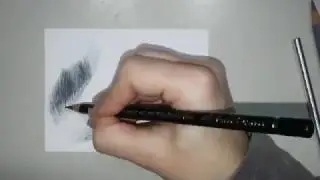 Black & white fur speed drawing tutorial