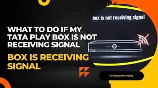 What to do if my Tata Play box is not receiving signal
