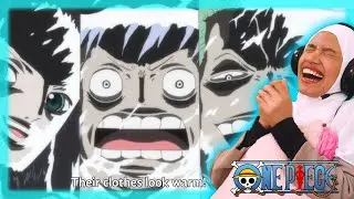 I'VE NEVER LAUGHED THIS HARD🔴 One Piece Episode 586 Reaction