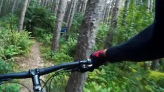 Mountain Biking the Agreement Forest