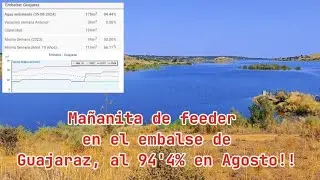 Mañana calurosa de Agosto en el embalse de Guajaraz, Zona de Layos al Feeder