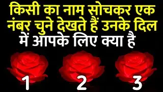 tarot card reading उनके दिल में आपके लिए क्या हैं choose one number चुने एक नंबर Hindi tarot reading