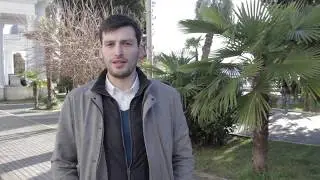 Пальмовый мотылек