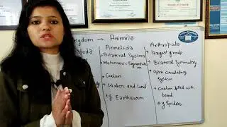 Kingdom Animalia by Biology faculty Ms. Sangeeta negi at pollux institute