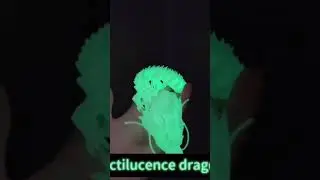 Wow factor GLOW IN THE DARK 3D printed Articulated flexi dragon toys, must have Christmas toys eBay 
