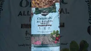 Is THIS Mulch Actually Safe for Tomatoes? 🍅