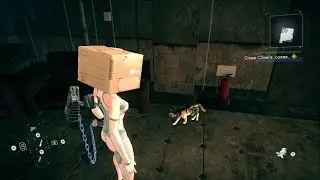 I think the cat broke&hellip;