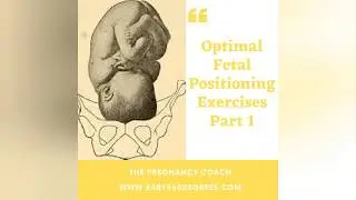 Optimal Fetal Positioning Exercises Part 1