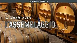 L'assemblaggio degli Champagne e l'importanza della tecnica | Tannico Flying School