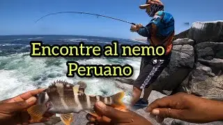 cada tiro un pez...