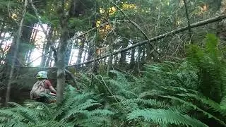 Wood and Joe