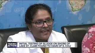 Tests show E. coli in the sludge on Lake St. Clair