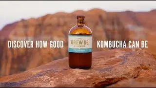 Brew Dr. Kombucha Good for Humans