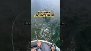 GOKIL...‼️MANCING STRIKE TERCEPAT DI DUNIA #faktaunik #mancing #strikeikan #shortvideo