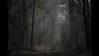Anything & Everything Horror Podcast