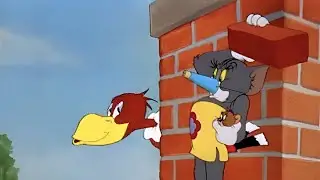Tom and Jerry | Flirty Birdy | Episode 20 Part 2