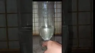 DIY inuman ng kalapati