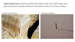 Unidirectional bedforms sedimentology