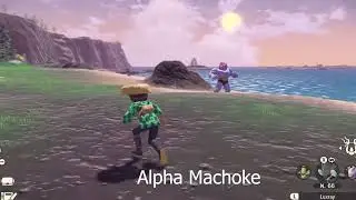 Map location Magnezone Alpha Machoke Alpha Mismagius Chimchar : Pokemon Legends Arceus