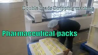 Automatic double heads stripping machine paper container blank stripper