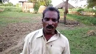 Kapu song mudragada