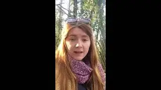 Ask Holly: Why do red squirrels chase each other?