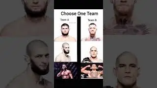 UFC fans
