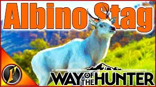 A New Albino Appears! + 5 Star Frenzy On Transylvania!!! | Way of the Hunter